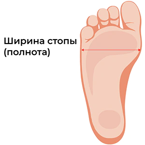 foot-width-leg-length-super-shoes.ru
